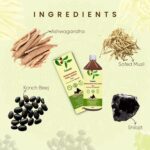 Ashwagandha Shilajit Juice ingredients