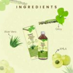 Giloy Aloe vera Amla Ras Ingredients